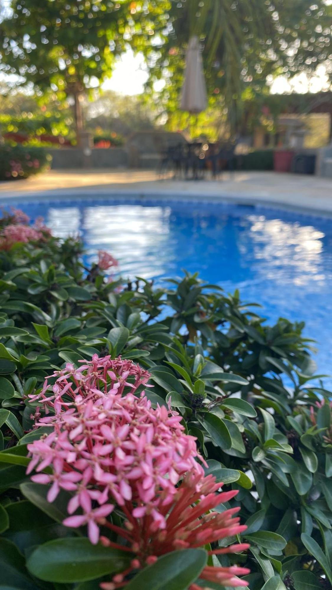 Casas Del Toro Playa Flamingo 아파트 호텔 외부 사진